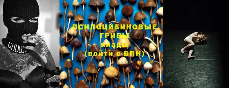 Псилоцибиновые грибы Magic Shrooms  кракен как зайти  Пугачёв 